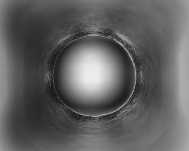 X0000094951206200711291406