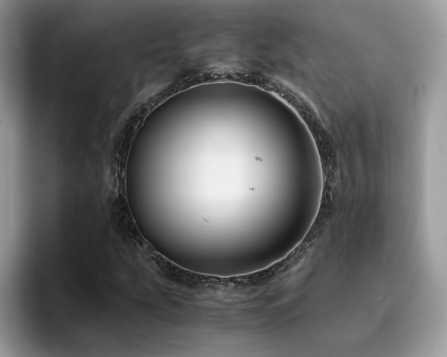 X0000094951207200711291406