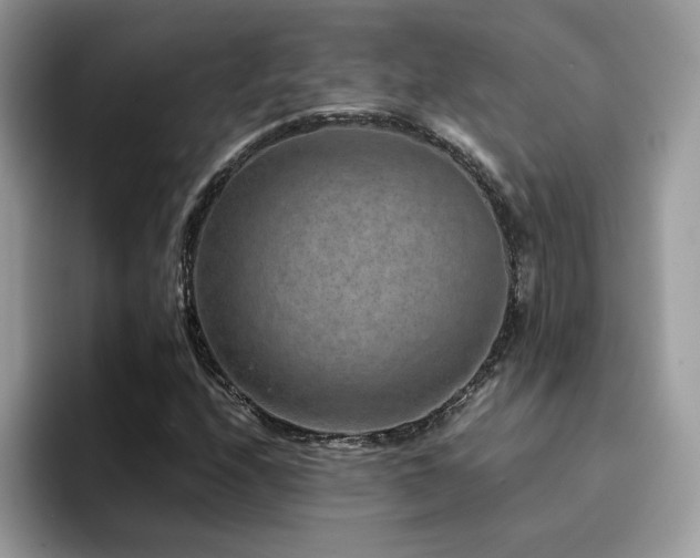 X0000094951208200711291406