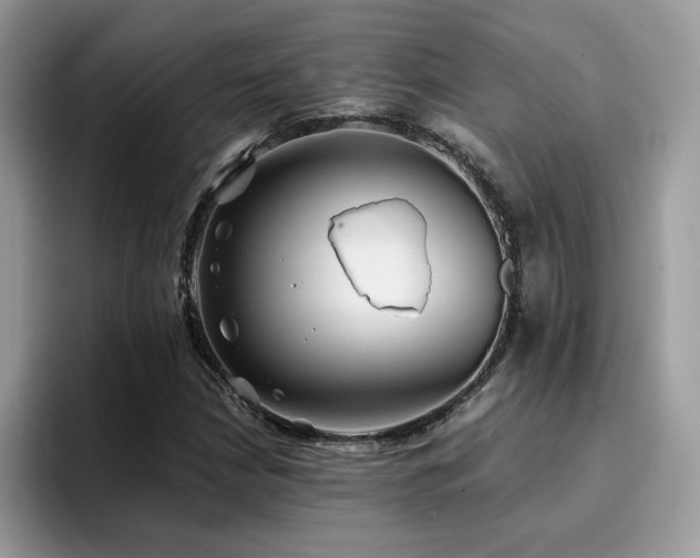 X0000094951210200711291406