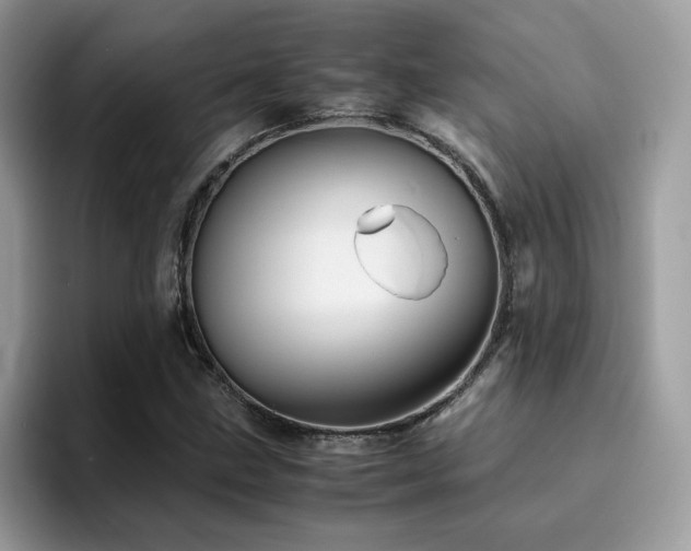 X0000094951211200711291406