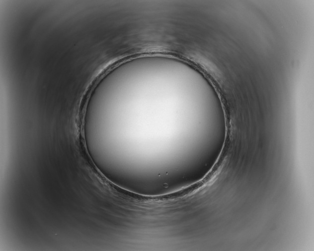 X0000094951212200711291406