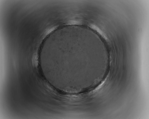 X0000094951213200711291406