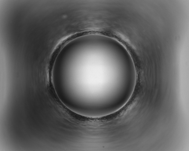 X0000094951214200711291406