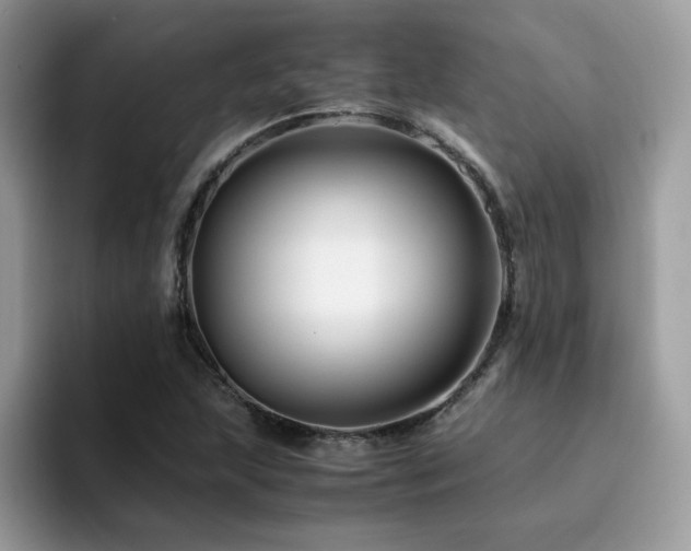 X0000094951215200711291406