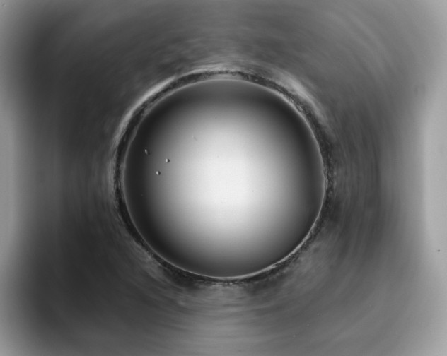 X0000094951216200711291407