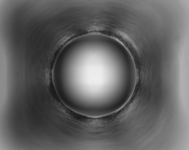 X0000094951217200711291407