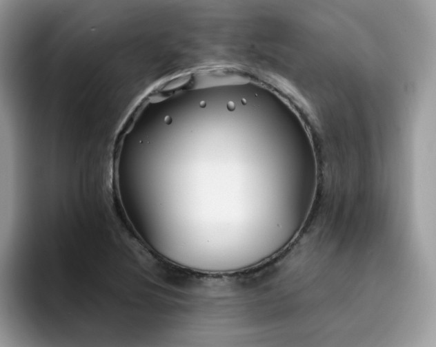 X0000094951220200711291407