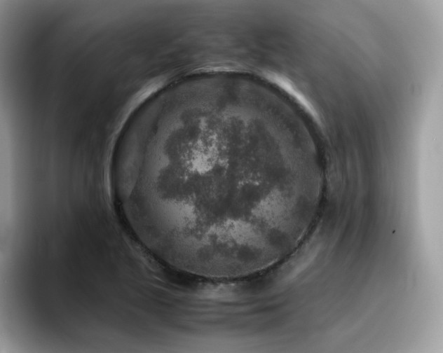 X0000094951221200711291407