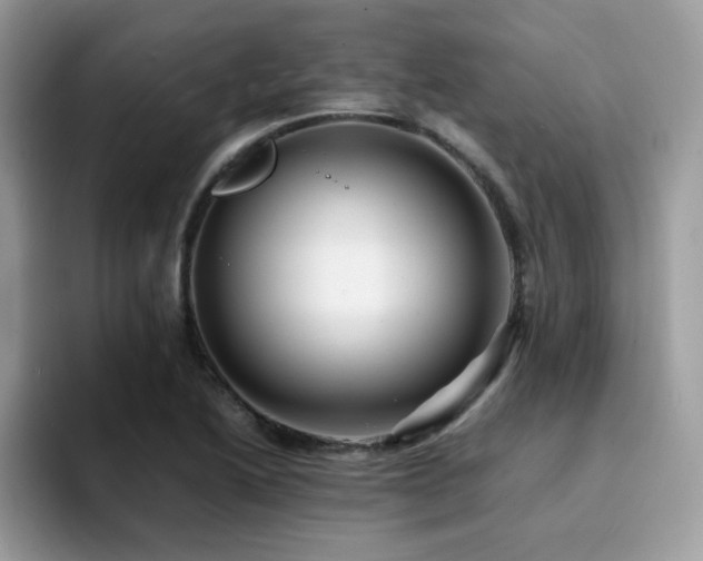 X0000094951222200711291407