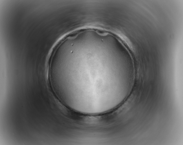 X0000094951224200711291407