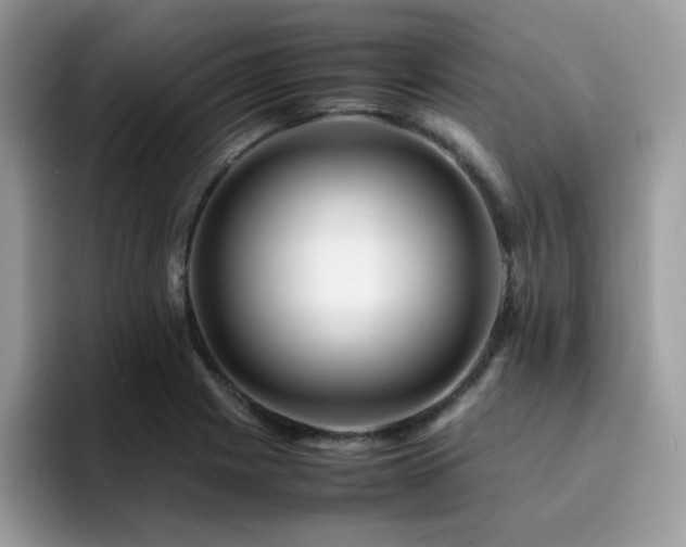 X0000094951225200711291407