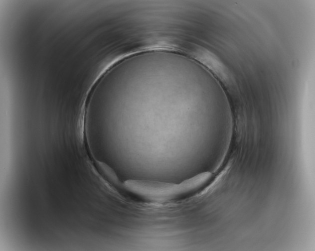 X0000094951228200711291407