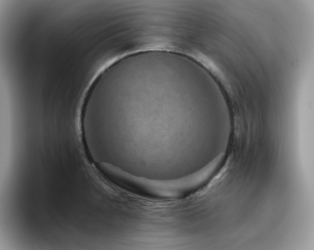 X0000094951230200711291407
