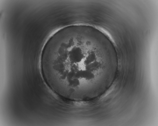X0000094951231200711291407