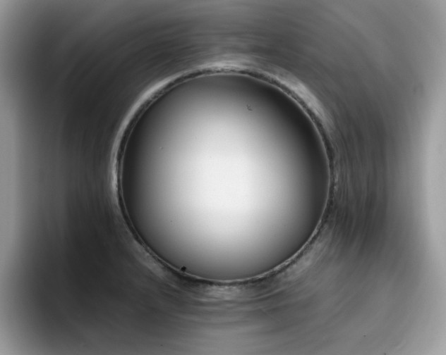 X0000094951232200711291407