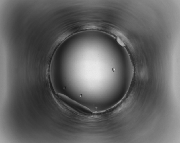X0000094951233200711291407