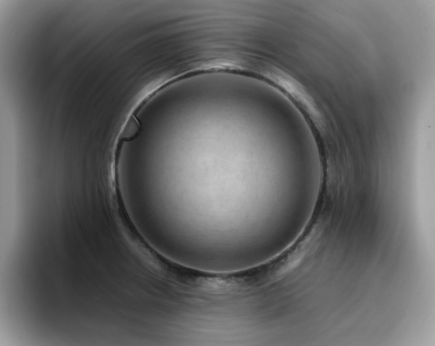 X0000094951234200711291407