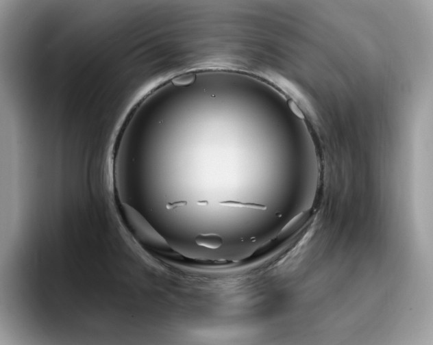 X0000094951238200711291407