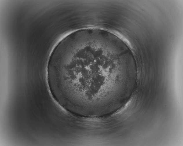 X0000094951239200711291407