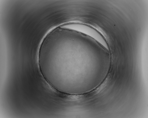 X0000094951240200711291407