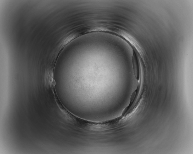 X0000094951241200711291407