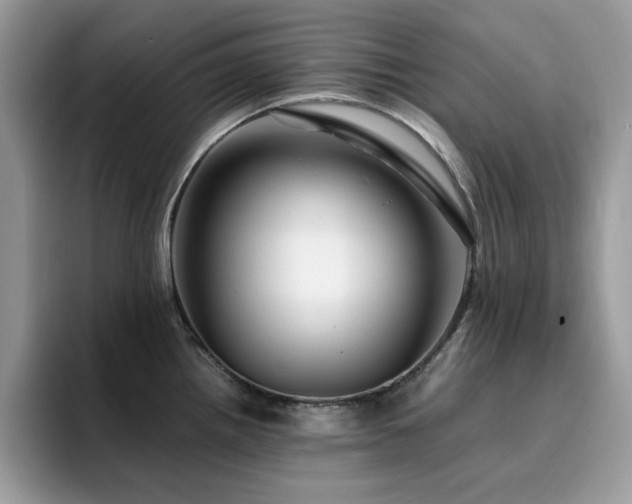 X0000094951242200711291407
