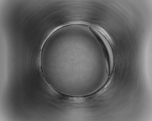 X0000094951244200711291407