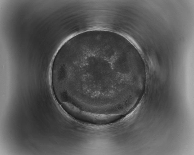 X0000094951246200711291407