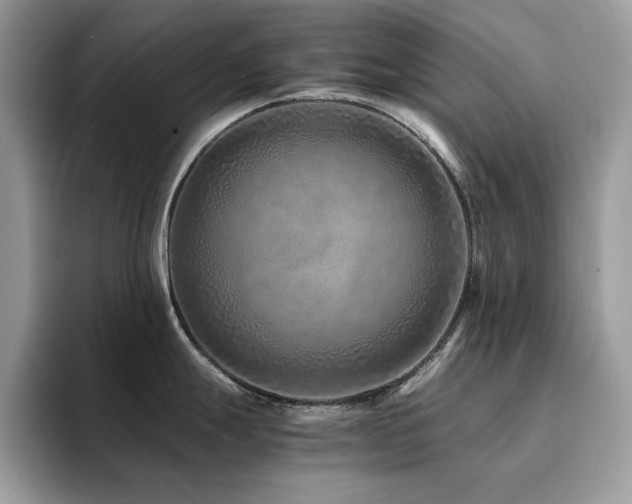 X0000094951247200711291407