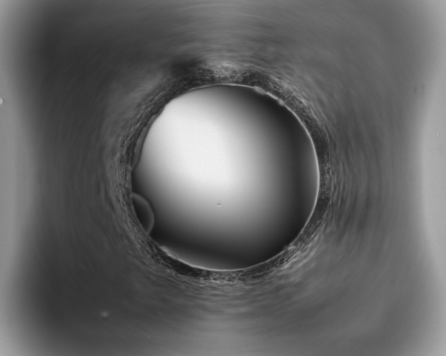 X0000094951249200711291406