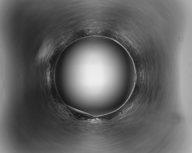X0000094951250200711291406