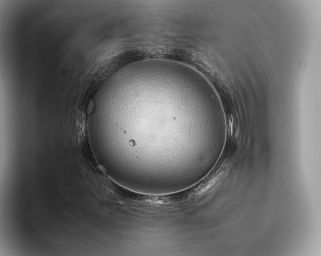 X0000094951251200711291406