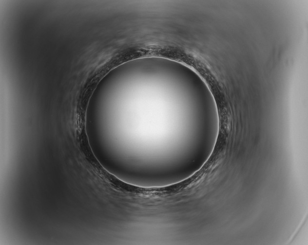 X0000094951253200711291406