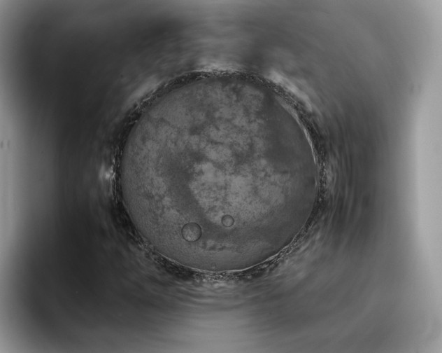 X0000094951254200711291406