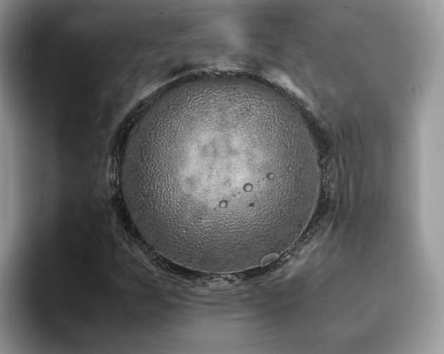 X0000094951255200711291406