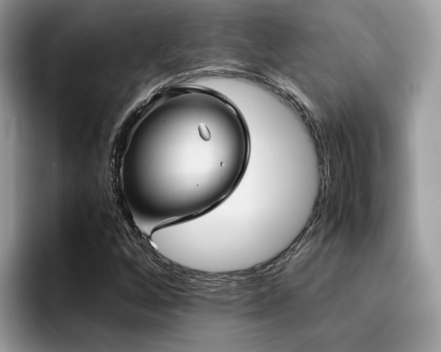 X0000094951256200711291406