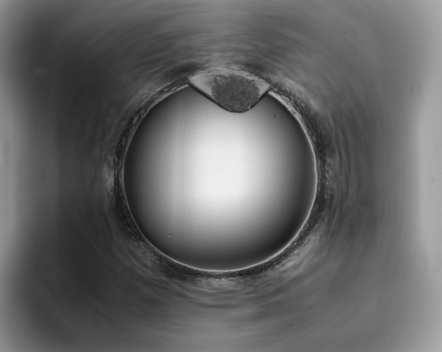 X0000094951257200711291406