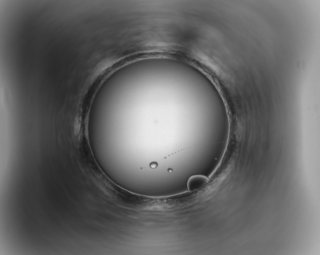 X0000094951259200711291406