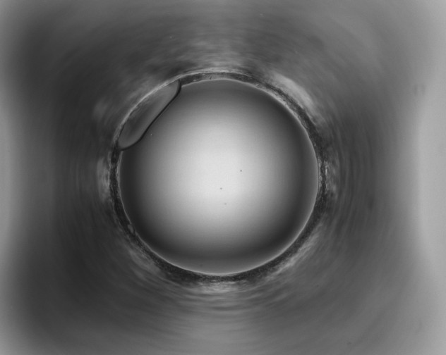 X0000094951260200711291406