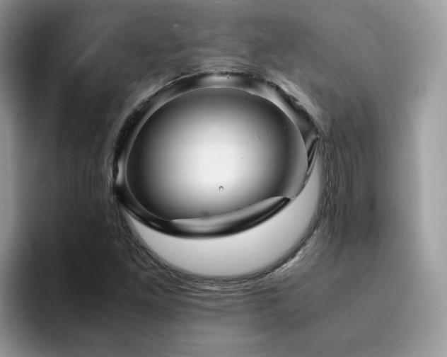 X0000094951261200711291406
