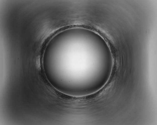 X0000094951262200711291406