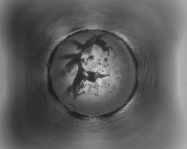 X0000094951263200711291406