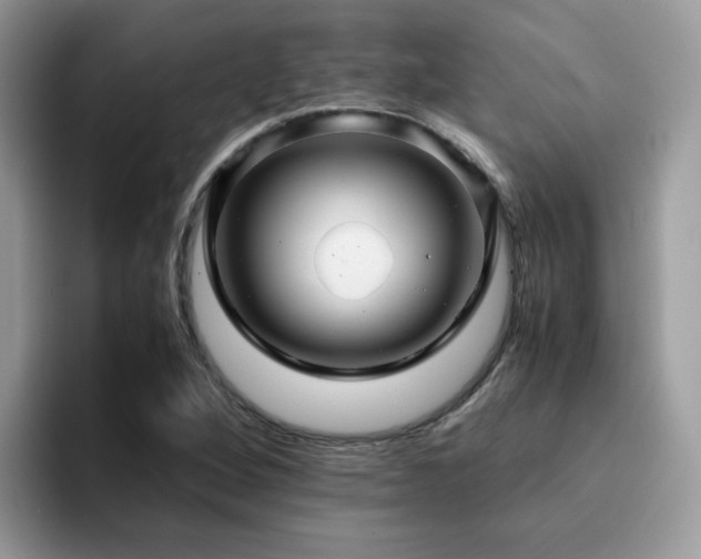 X0000094951264200711291406