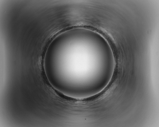 X0000094951265200711291406