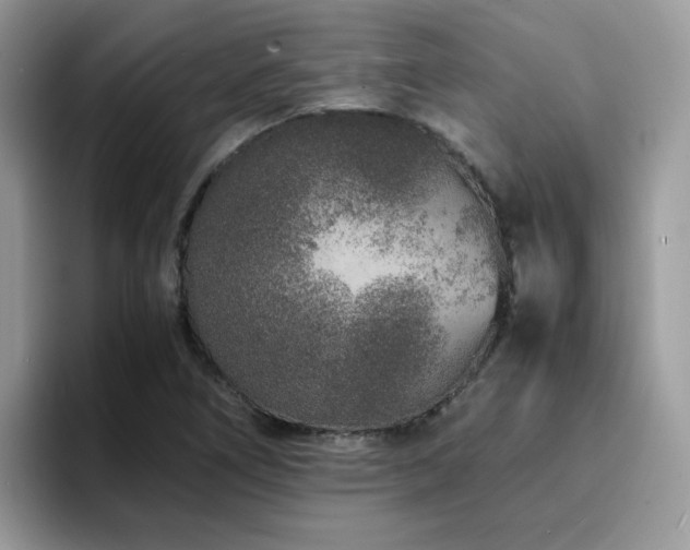 X0000094951266200711291406