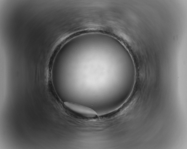 X0000094951267200711291406