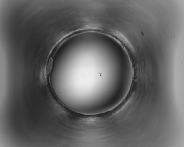 X0000094951268200711291406