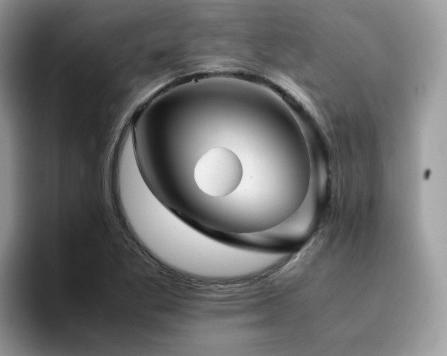 X0000094951269200711291406