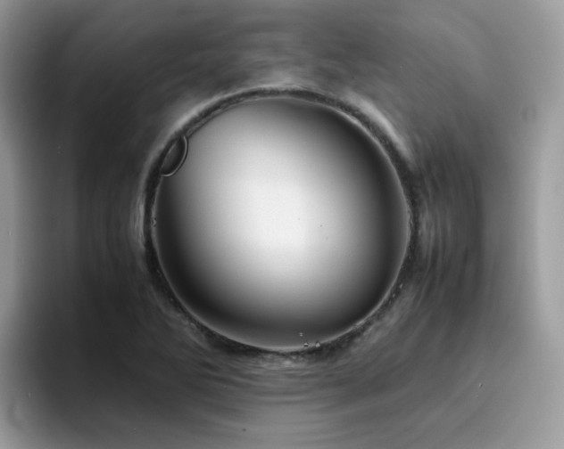 X0000094951270200711291406